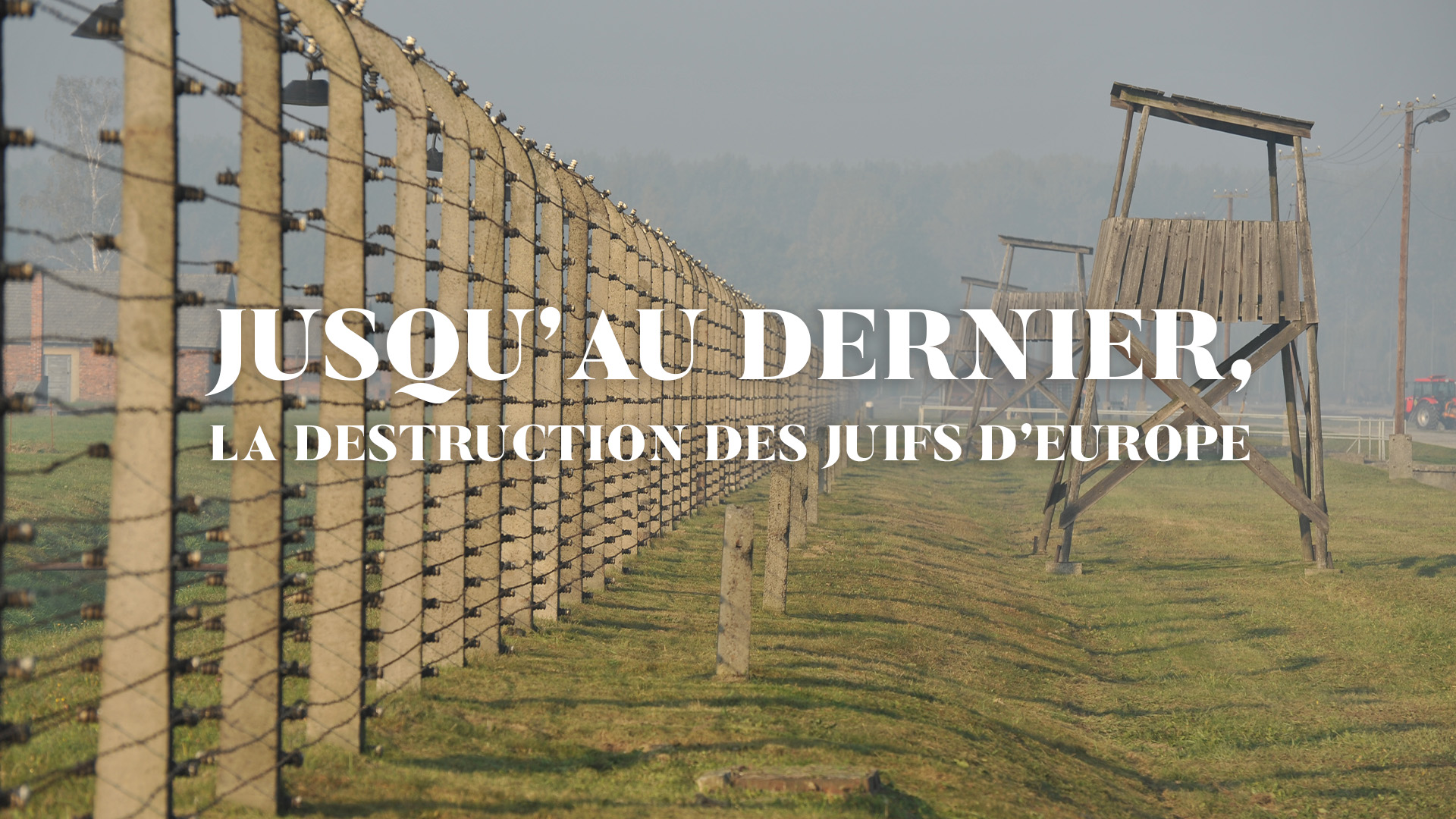 jusqu'au dernier, la destruction des juifs d'europe