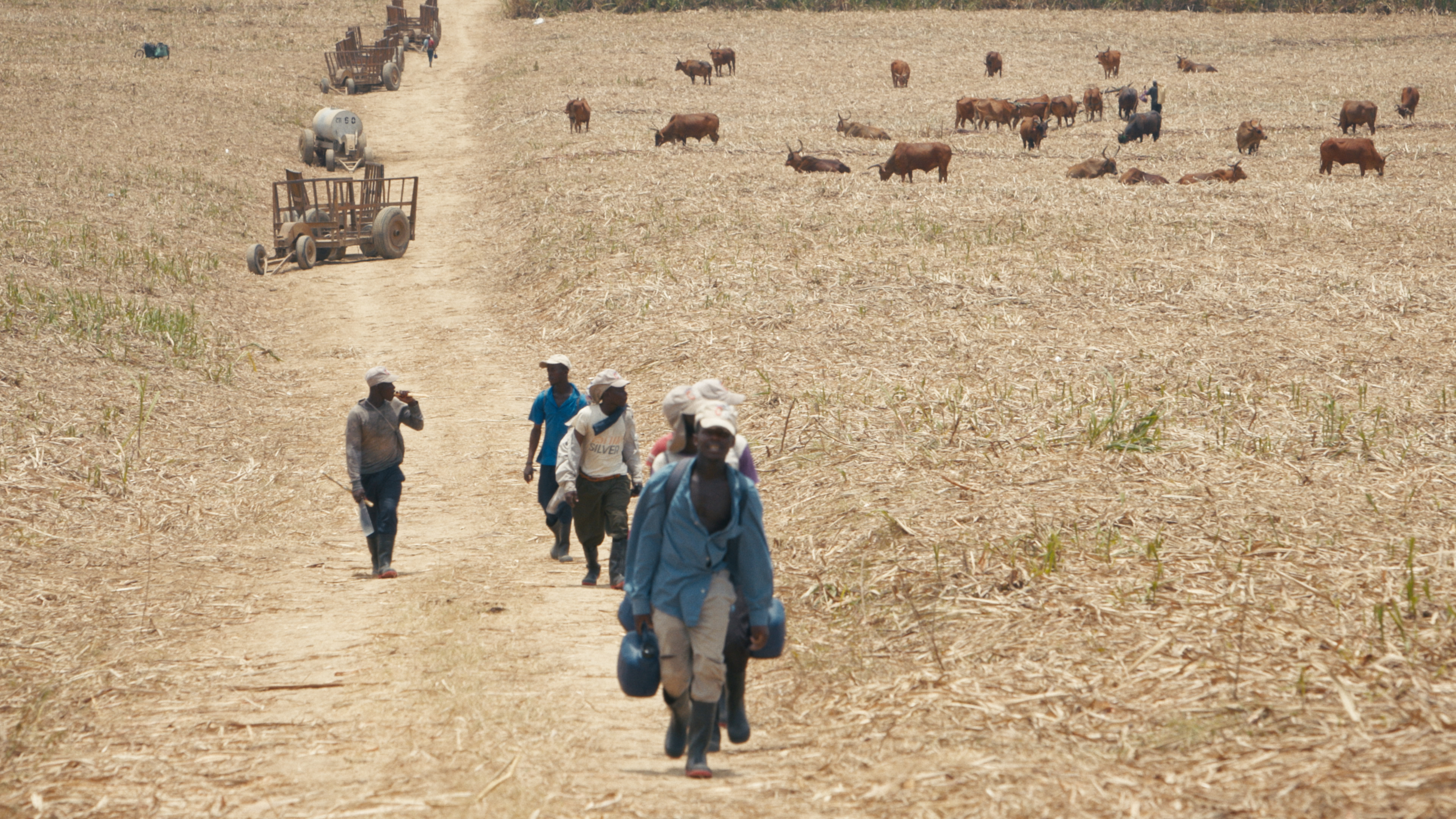 Le sucre, pour la douceur et pour le pire (c) Hauteville Productions (4).jpeg