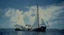 Rainbow-warrior-catchup2.jpg