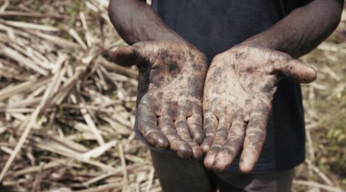 Le sucre, pour la douceur et pour le pire (c) Hauteville Productions (3) (1).jpeg