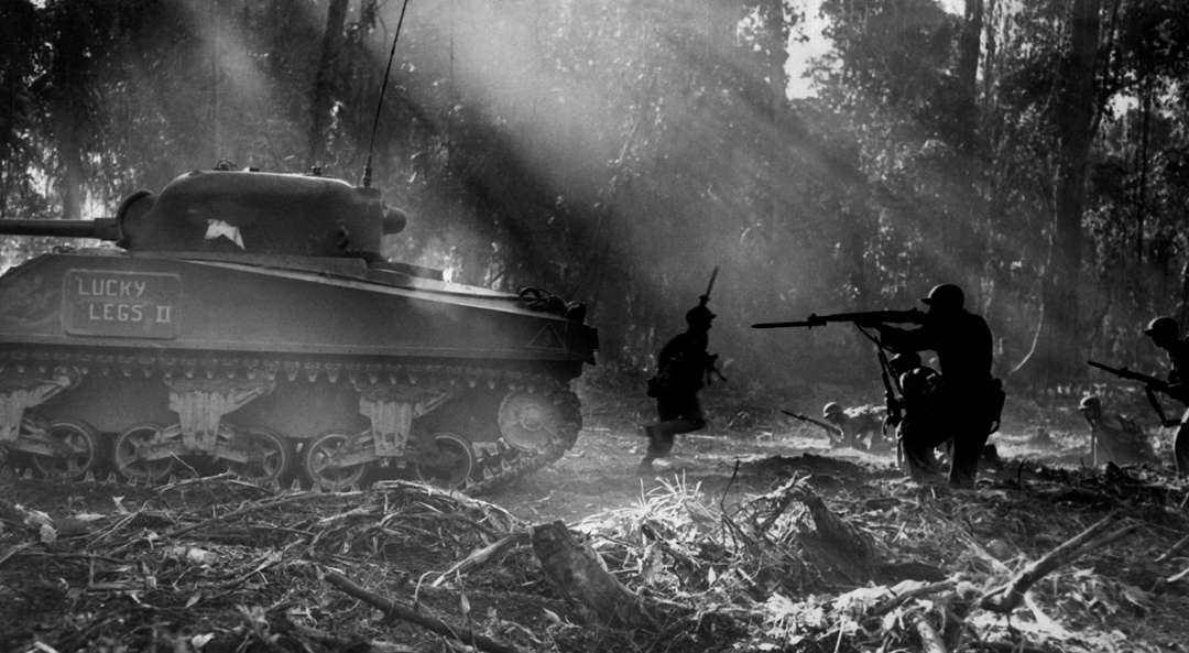 Les guerres de la jungle Les guerres de la jungle
